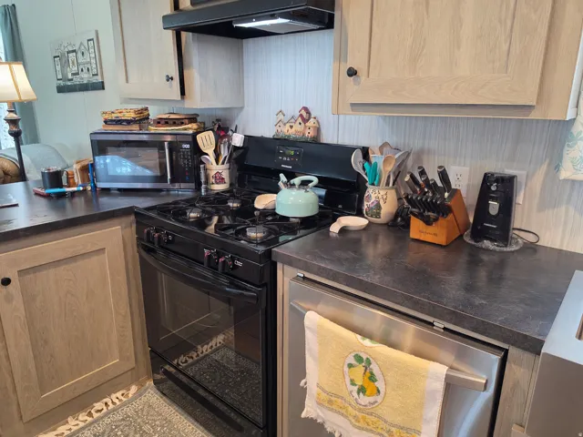 Kitchen featuring a black gas range, stainless steel dishwasher, light wood-finish cabinetry, and dark stone-look countertops