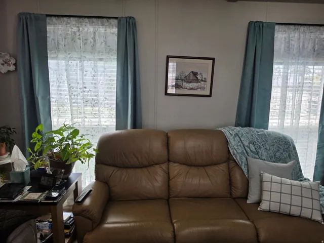 Light-filled interior featuring two windows with horizontal blinds and decorative drapes