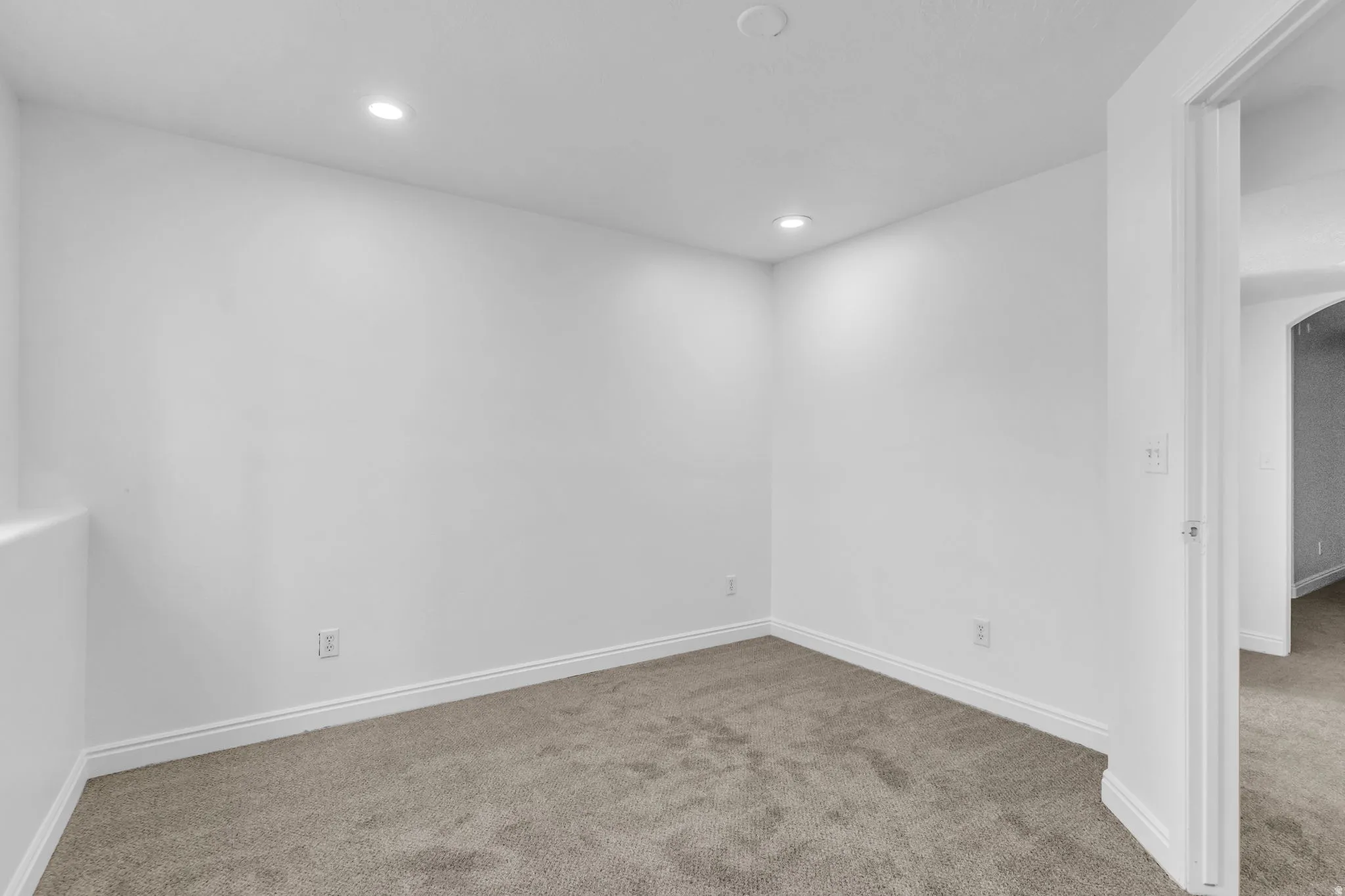 Neutral wall finish, recessed ceiling lighting, light-colored carpet, and white trim