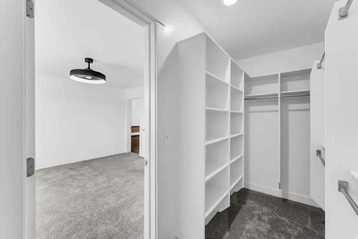 Walk-in closet featuring white built-in shelving, hanging rods, and grey carpeting