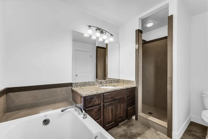 Bathroom featuring a white soaking tub, a dark wood-finish vanity with a light-toned granite countertop, a single undermount sink, and a framed mirror with a four-bulb vanity light fixture