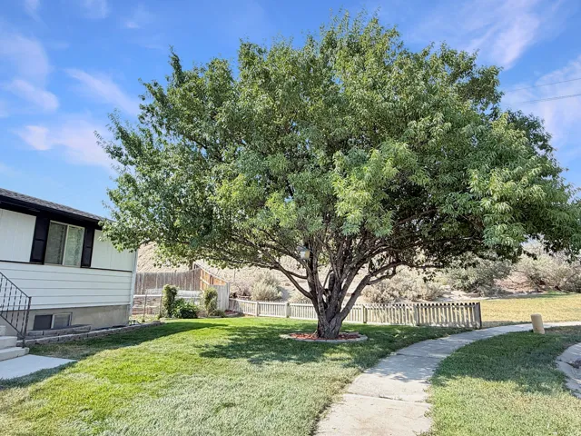 615 N Elm St, Orangeville, Utah 84537