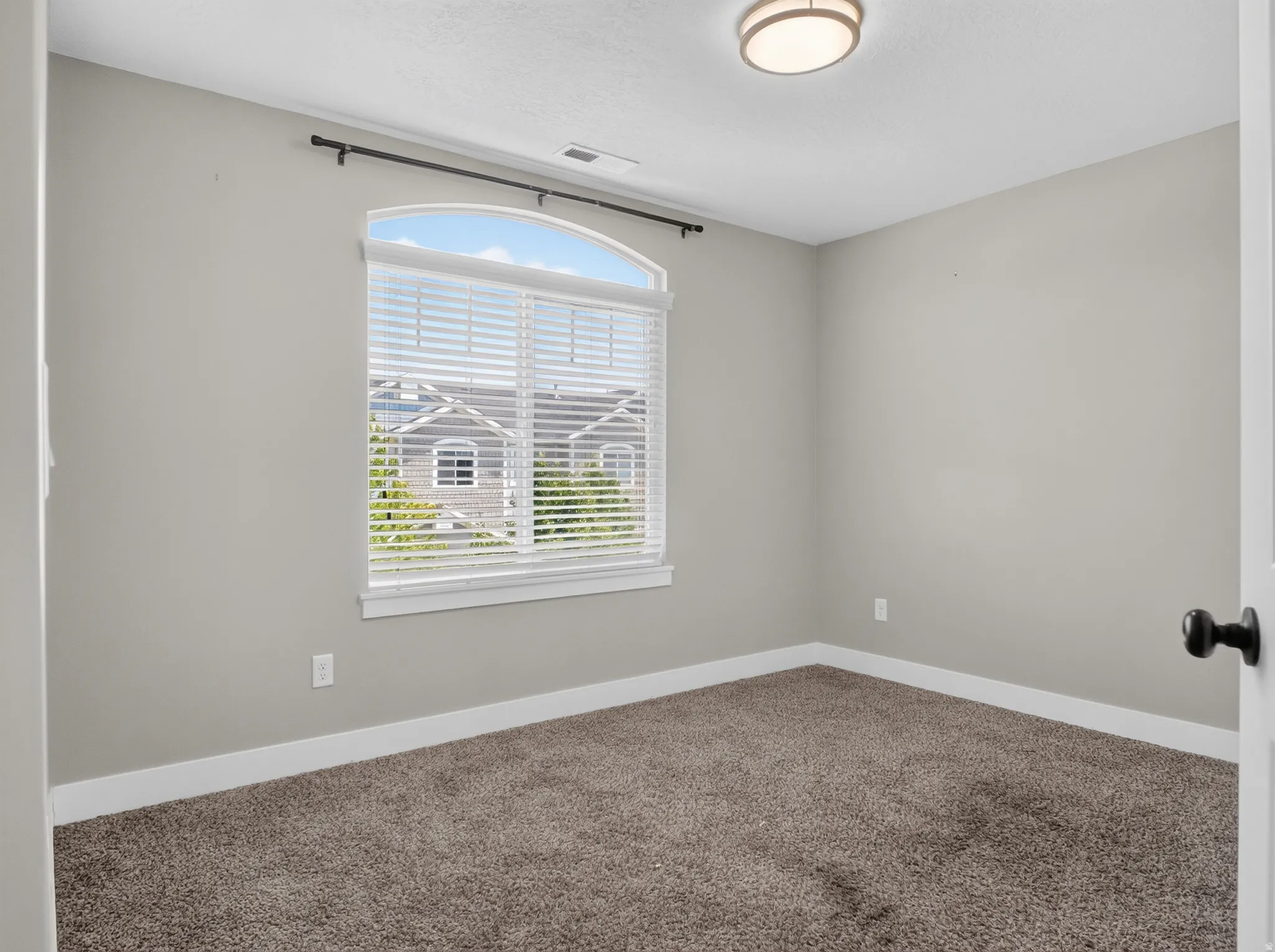Neutral-toned room featuring a large arched window with horizontal blinds, overhead flush-mount lighting, and wall-to-wall carpeting