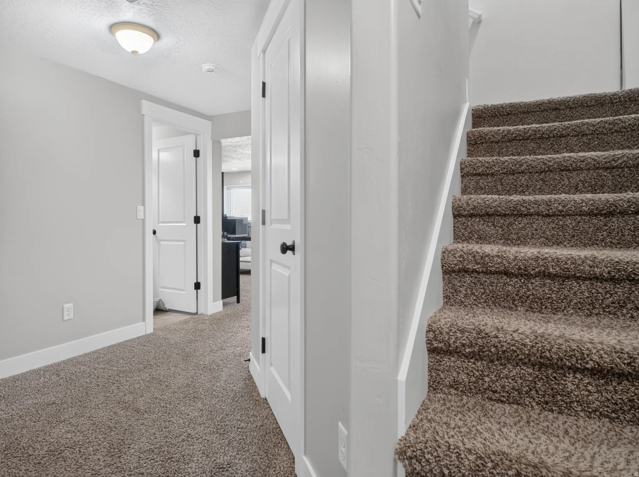 Carpeted staircase with white risers and gray walls