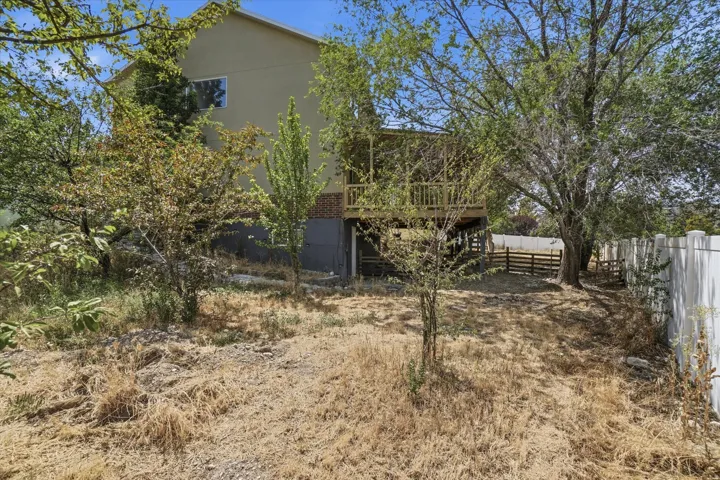 View of large backyard area