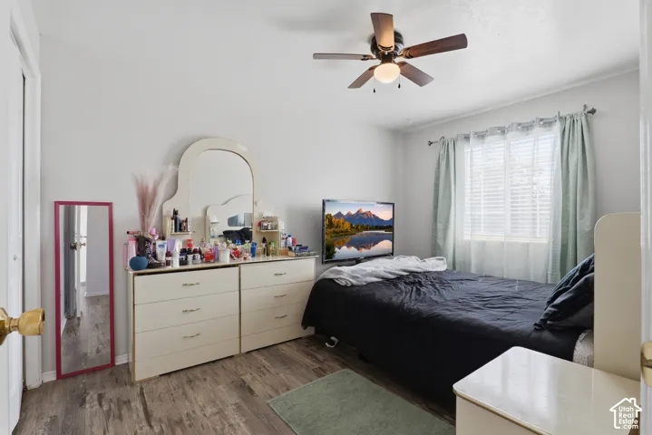 Spacious bedroom featuring wood-finish flooring, a ceiling fan with integrated lighting, and ample natural light from dual windows with soft green curtains