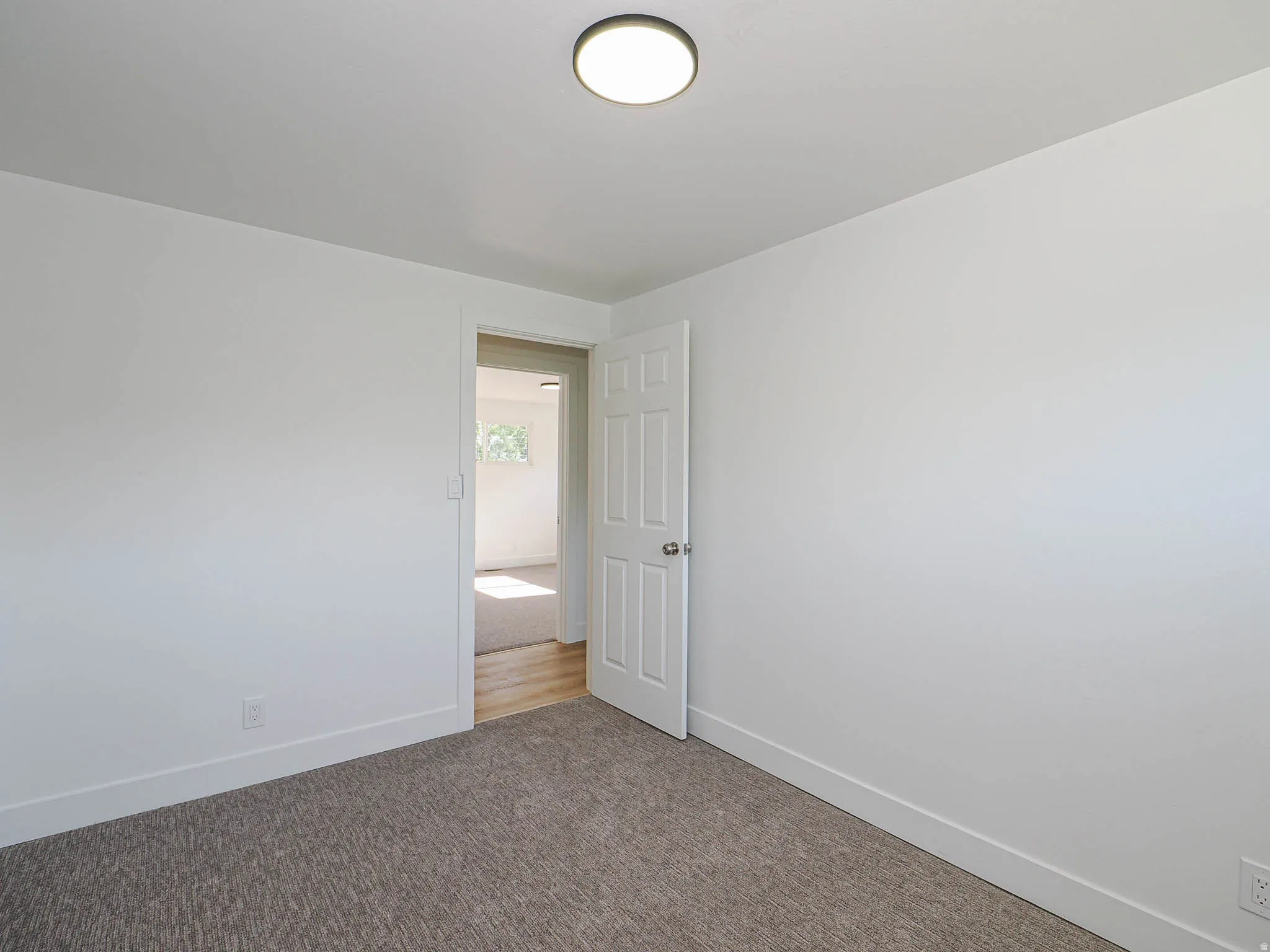 Recessed overhead lighting, fresh white wall paint, and gray carpet flooring