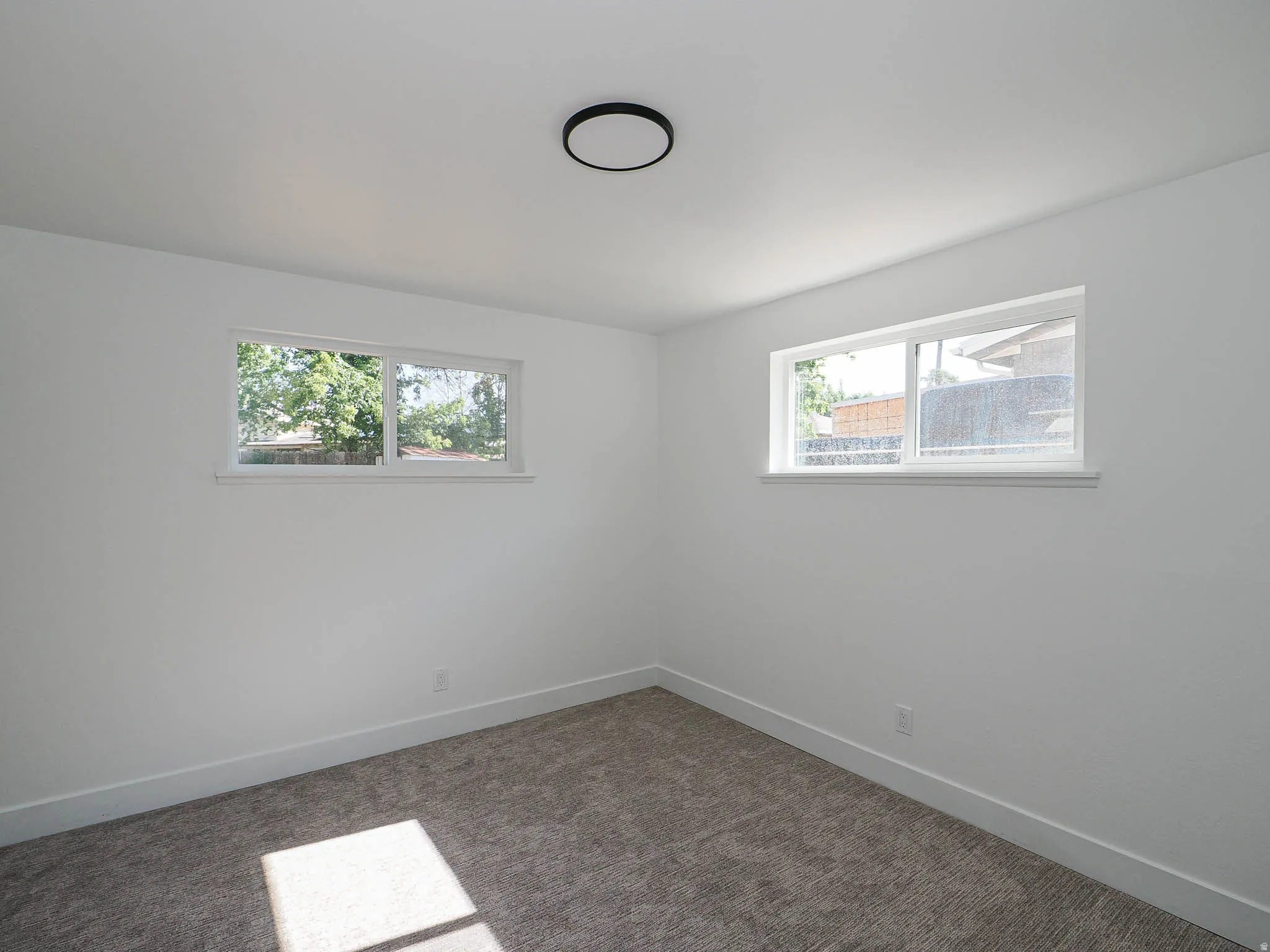 Bright interior with two windows, overhead flush-mount lighting, and carpet flooring