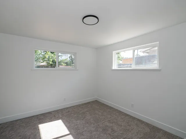 Bright interior with two windows, overhead flush-mount lighting, and carpet flooring