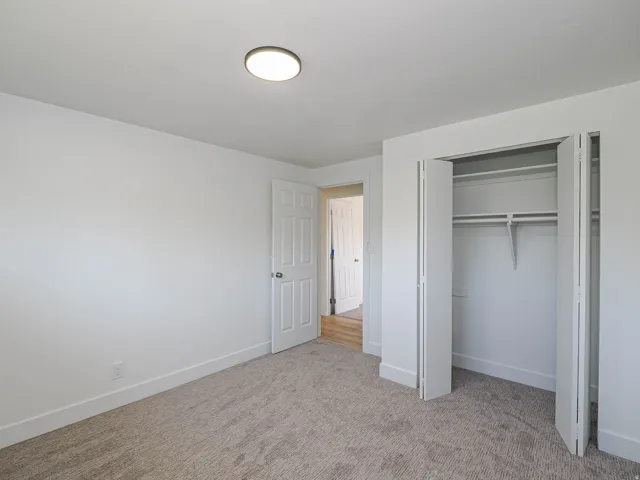 Neutral-toned carpet flooring, white walls, and a flush-mount ceiling light