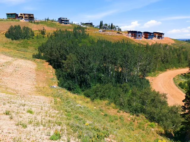 Elevated landscape with natural foliage and a winding dirt road