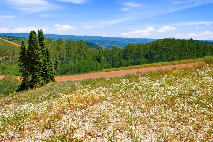 Expansive natural landscape featuring rolling hills and distant mountains