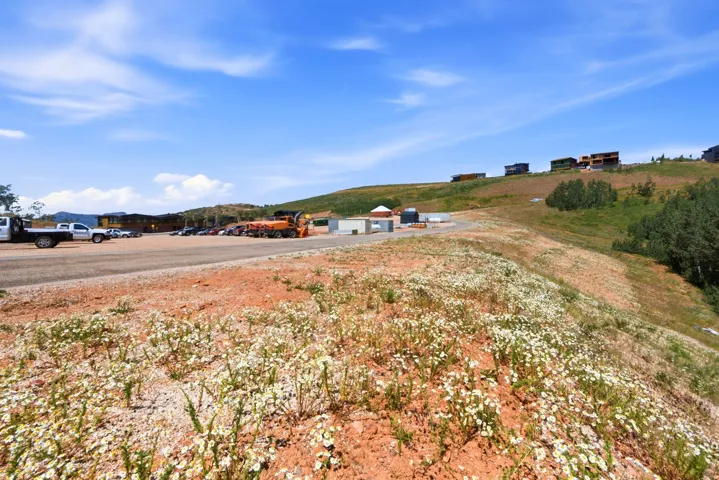 Expansive hillside property featuring distant residences, mature trees, and a developed roadway