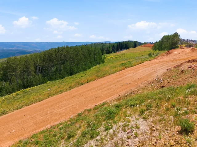 Expansive land featuring a winding dirt road, natural green vegetation, and distant mountain ranges