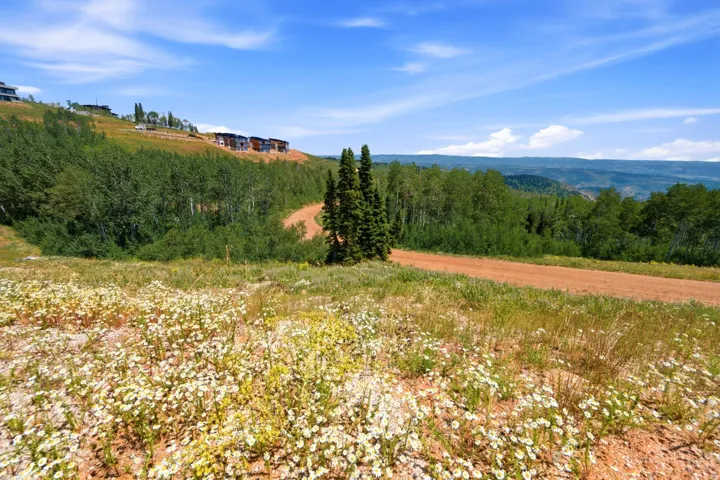 Expansive hillside property featuring a winding dirt road, scattered white wildflowers, mature evergreen trees, and distant mountain ranges