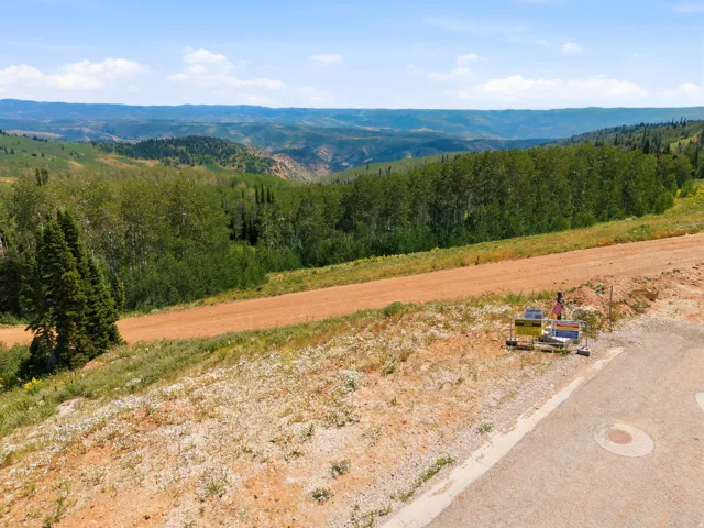 Expansive mountain scenery with diverse tree coverage