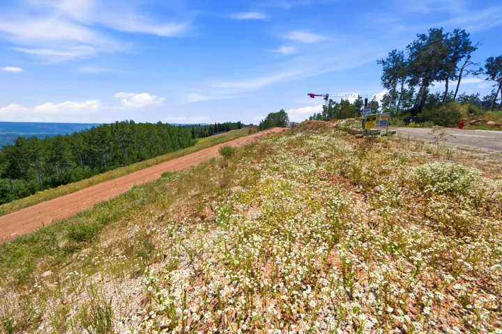 Sloped terrain with established vegetation, featuring a natural brown earth path and distant tree lines