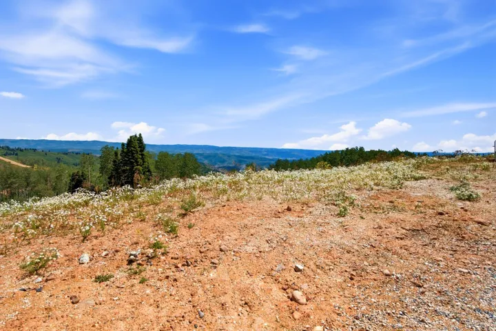 Expansive parcel featuring a sloped terrain, natural ground cover, and distant tree lines