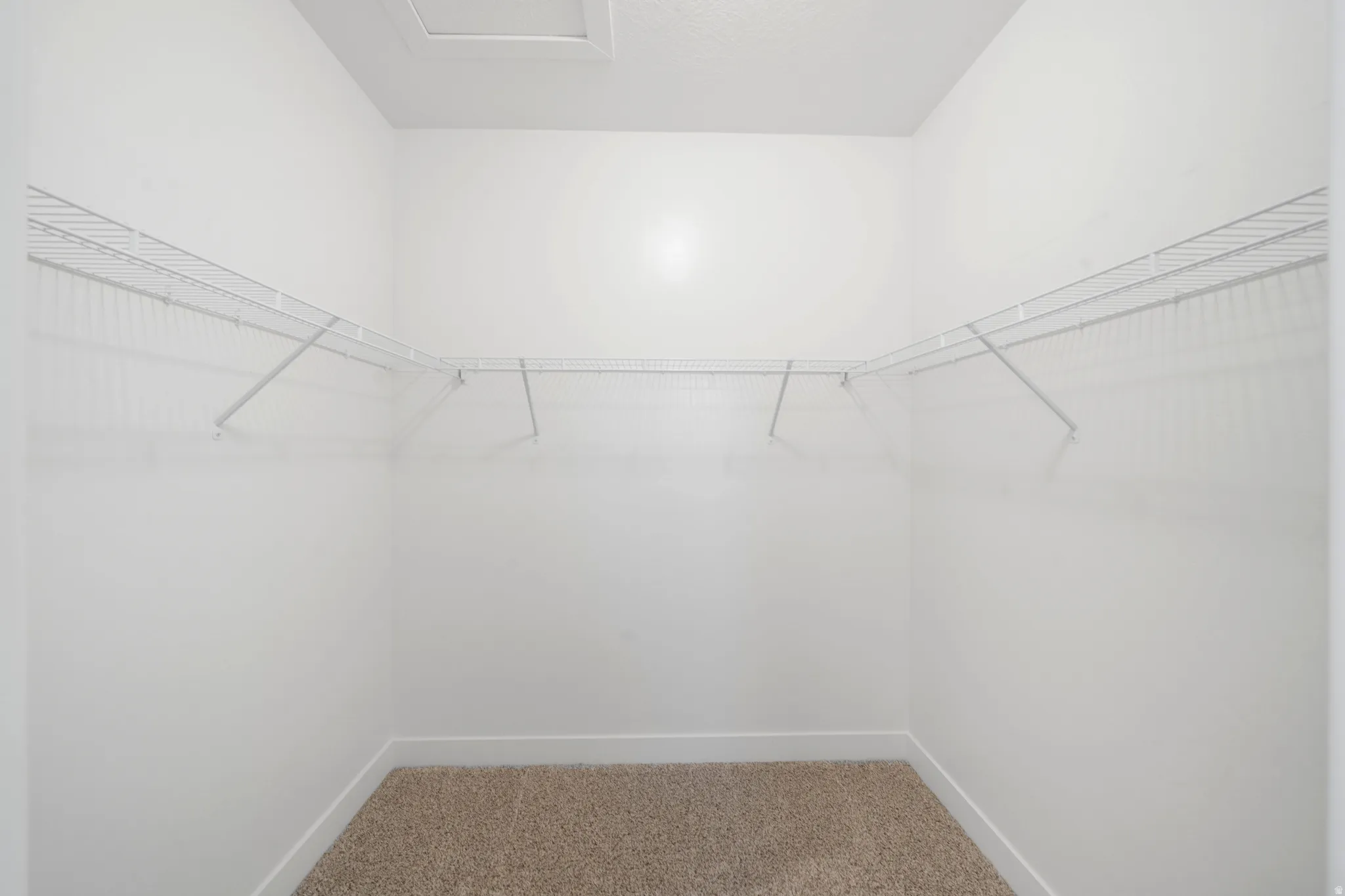 Walk-in closet featuring wire shelving, white walls, and light-toned carpeting