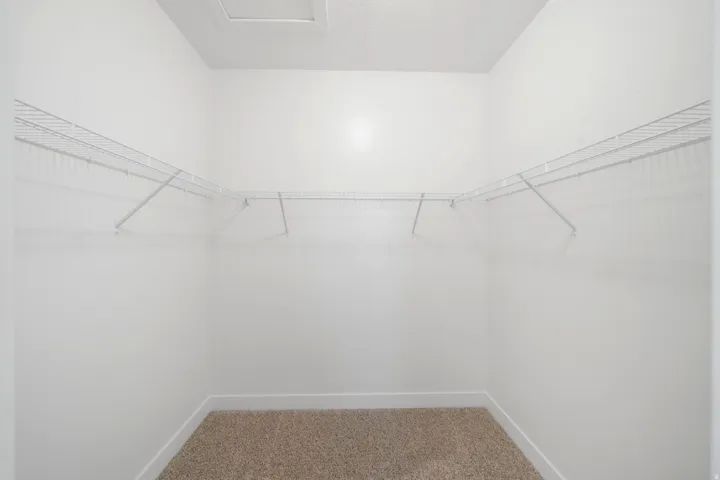 Walk-in closet featuring wire shelving, white walls, and light-toned carpeting