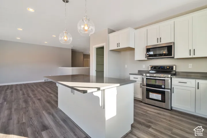 Kitchen featuring stainless steel appliances, white cabinetry, dark countertops, and wood-finish flooring