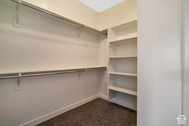White built-in shelving, dual hanging rods, and carpet flooring
