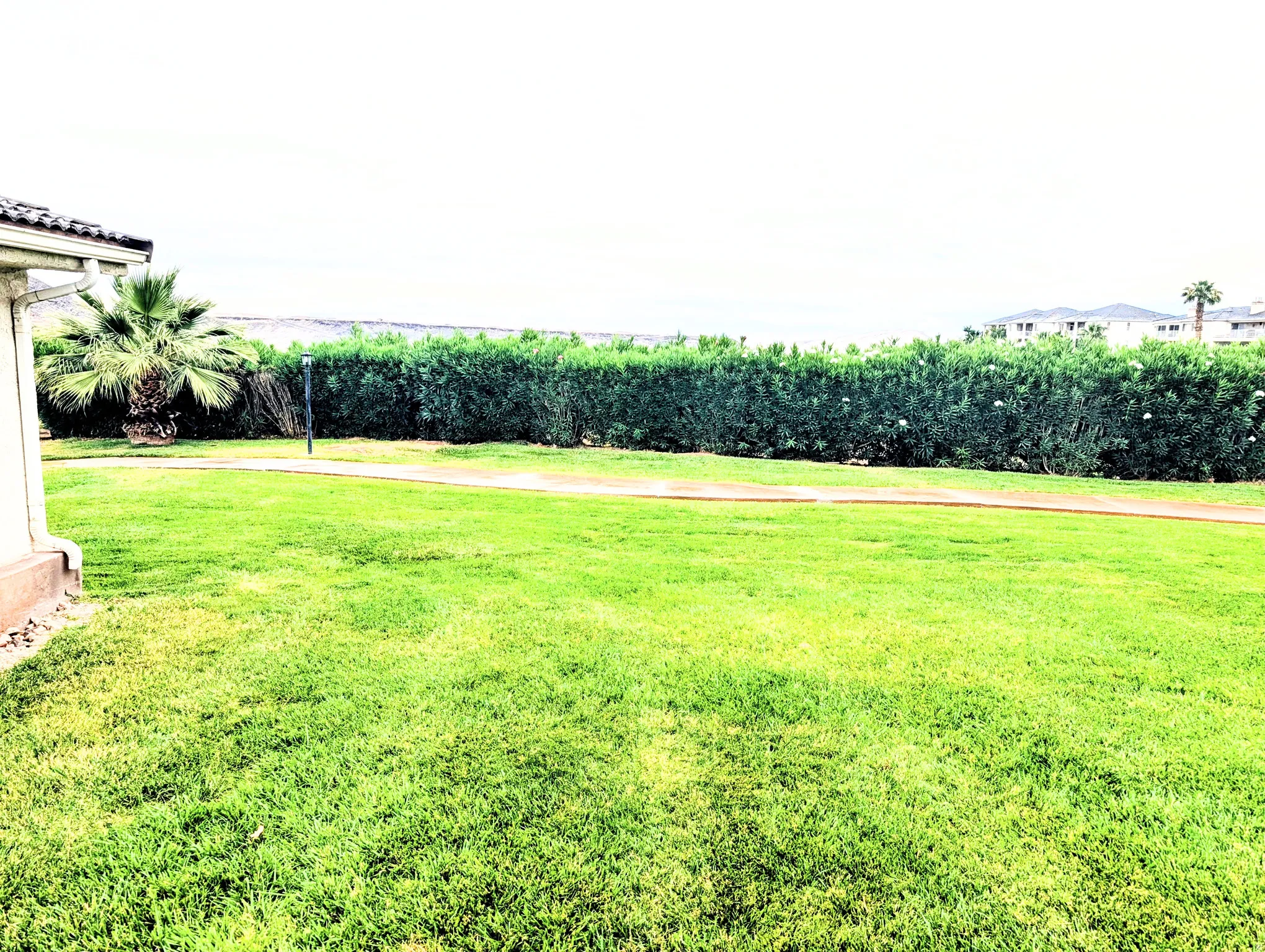 Expansive lawn with lush, manicured turf and mature landscaping