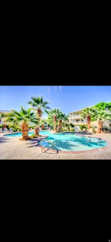 Resort-style pool area featuring multiple swimming pools, mature palm trees, concrete decking, and a surrounding building structure