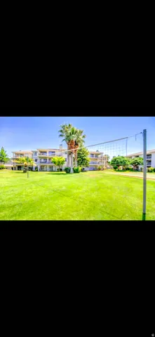 Expansive green space featuring a volleyball net, mature palm trees, and multi-story buildings with balconies