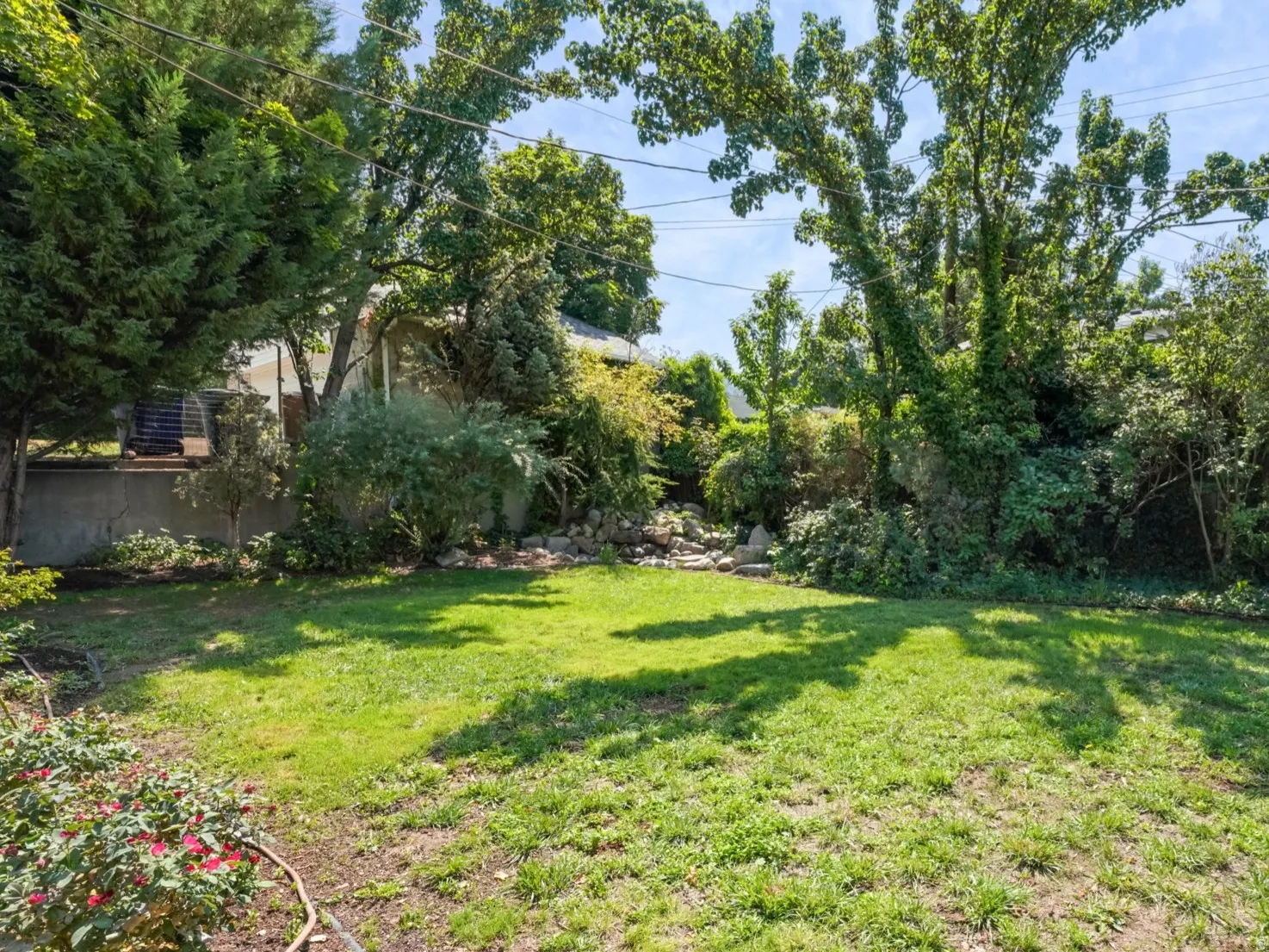 Expansive grassy area with mature perimeter trees and lush, varied shrubbery