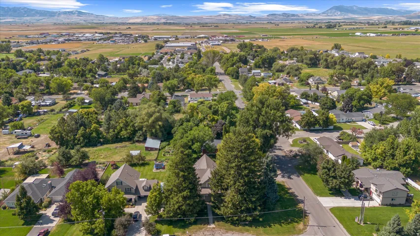 Expansive aerial perspective showcasing a residential area with mature tree coverage