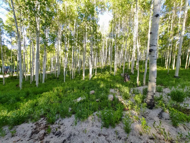 11728 E Raccoon Dr #1951, Heber City, Utah 84032