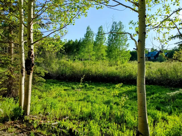 11728 E Raccoon Dr #1951, Heber City, Utah 84032
