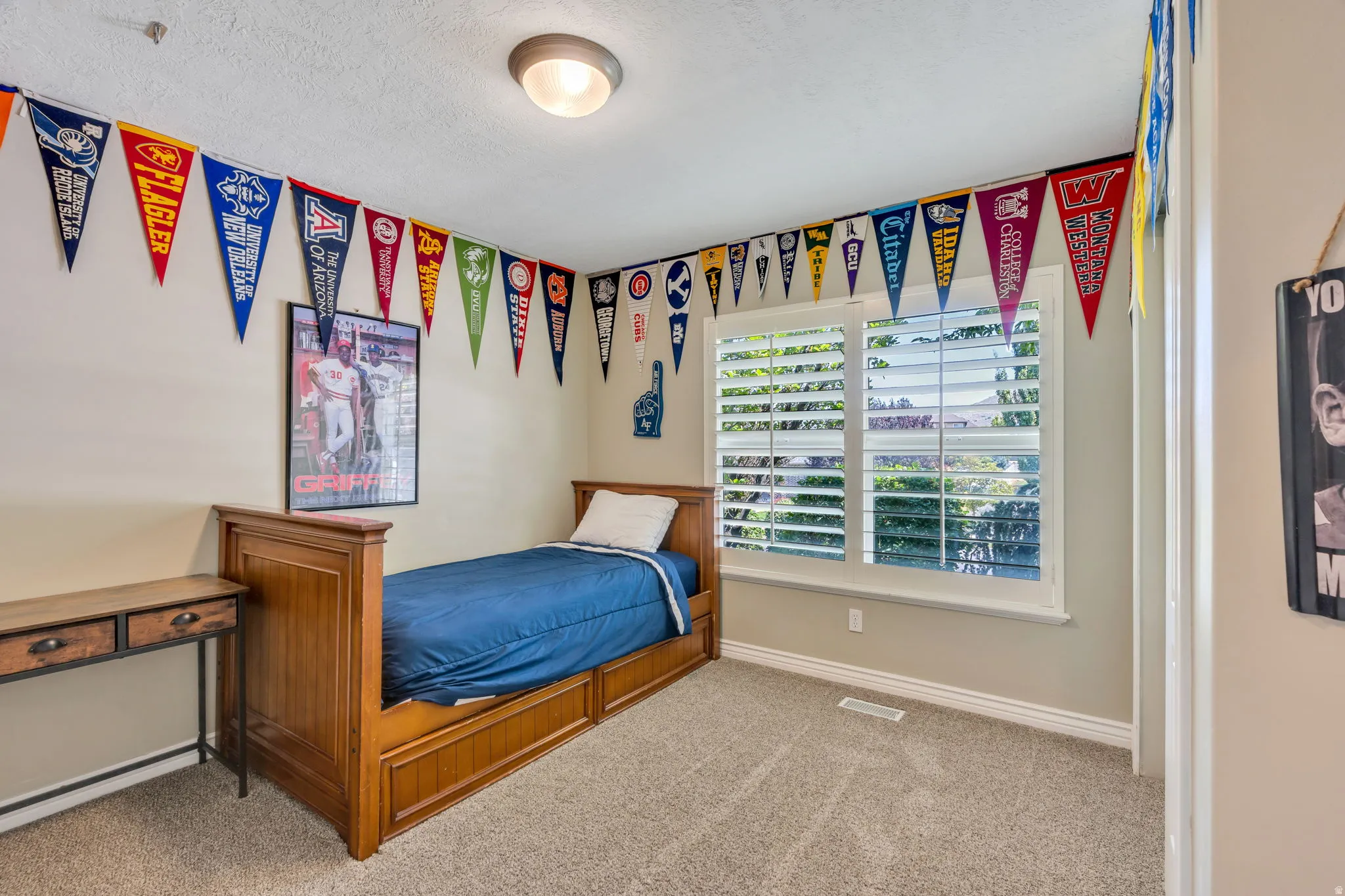Carpeted room featuring a large window with white plantation shutters