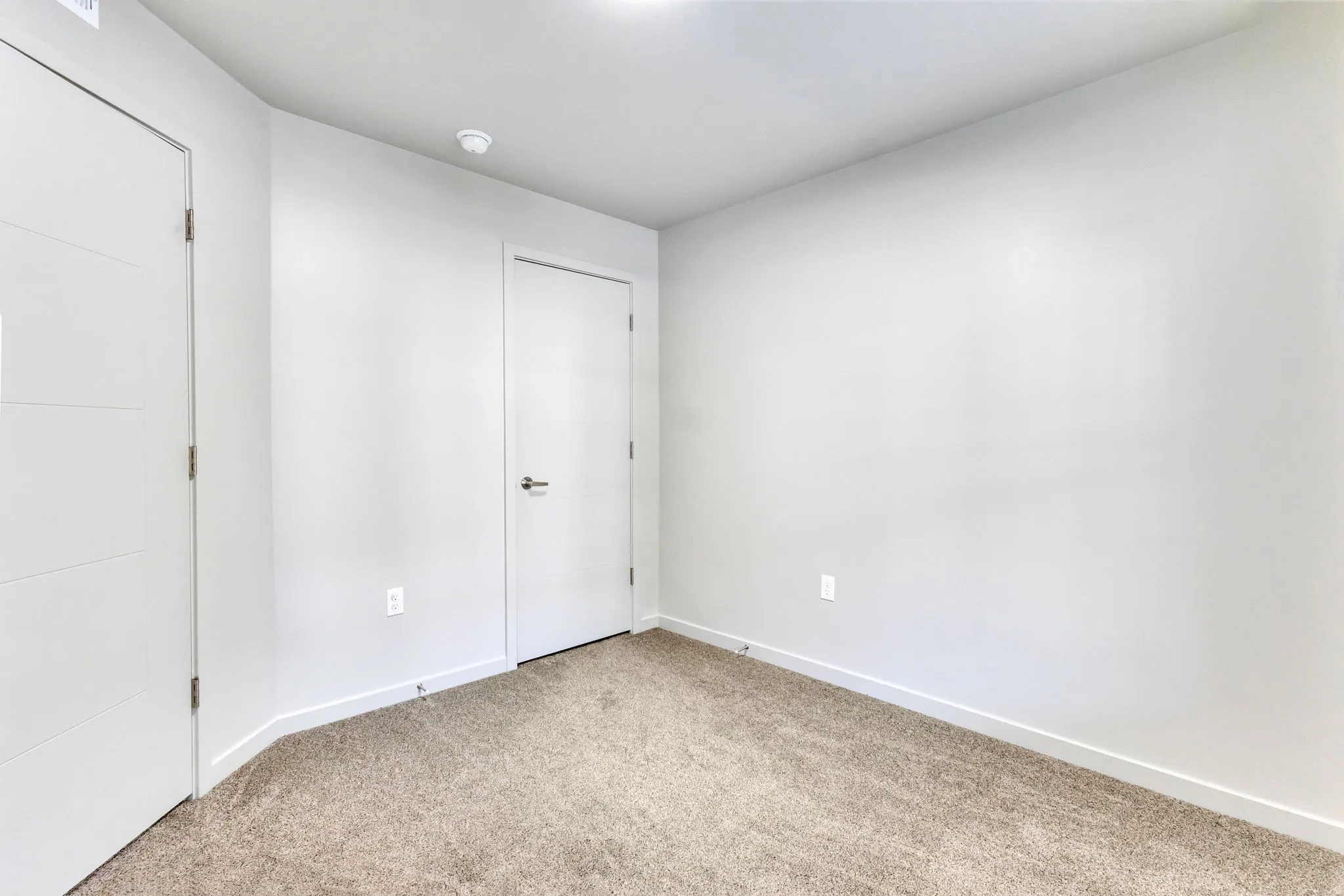 Neutral wall paint, plush carpeting, white trim, and a modern interior door with horizontal paneling