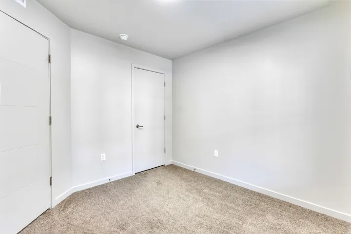 Neutral wall paint, plush carpeting, white trim, and a modern interior door with horizontal paneling