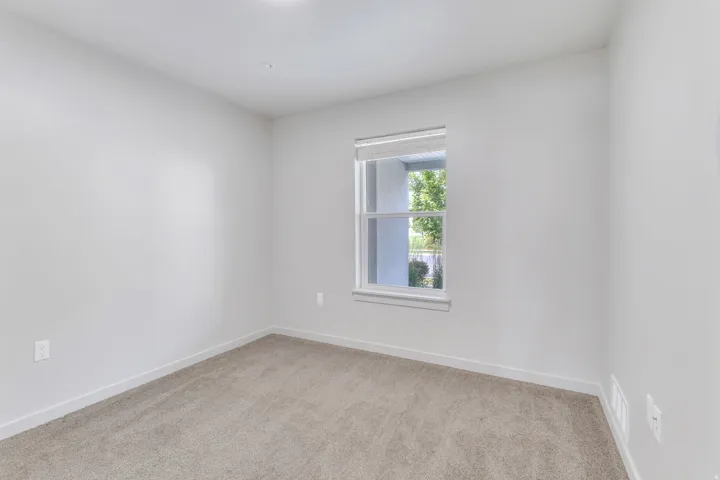 Neutral tone wall finishes, carpeting, and a window with a roller shade