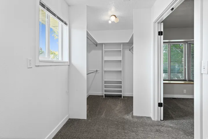 Built-in shelving, hanging rods, recessed lighting, and carpet flooring