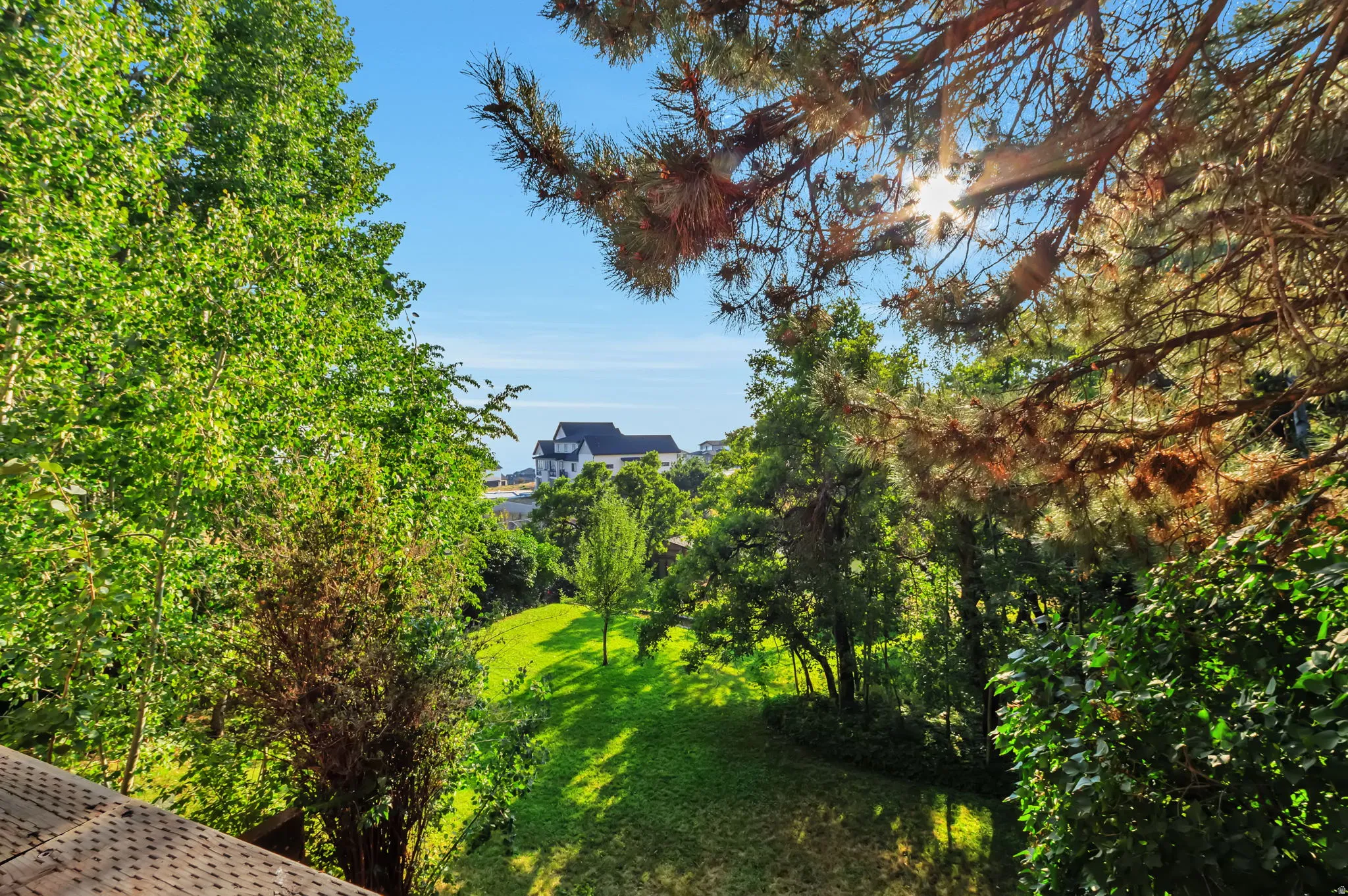 Lush, mature trees border a sloped lawn