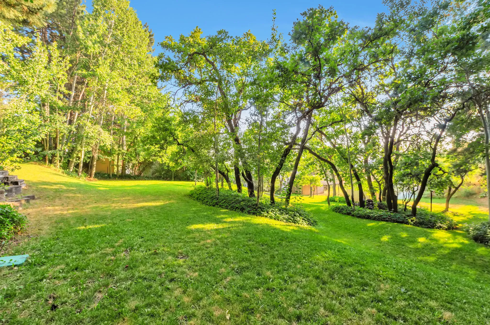 Expansive grounds featuring a manicured lawn with mature tree canopy providing natural shade throughout the property