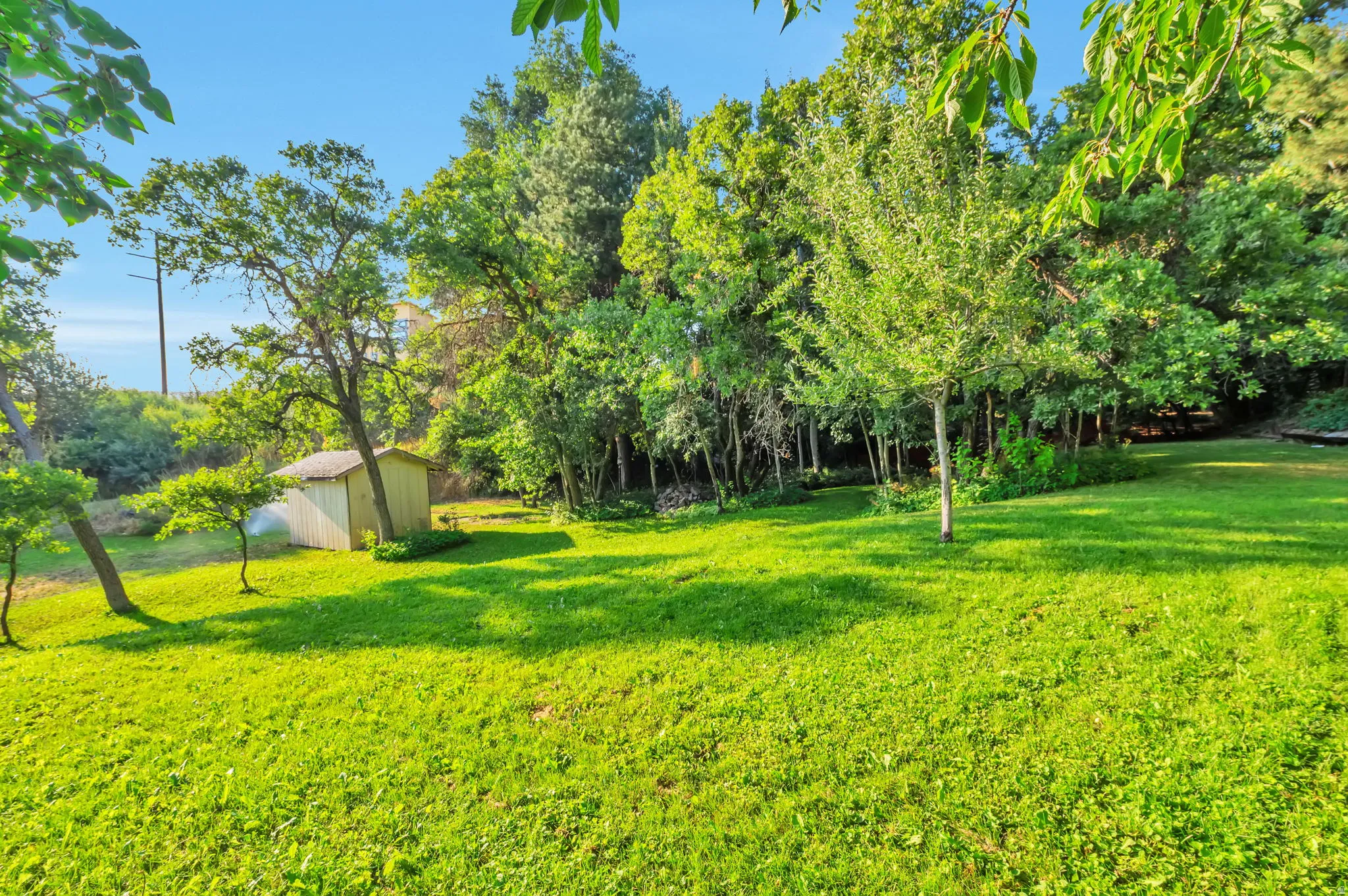 Expansive manicured lawn with mature tree canopy providing natural shade and privacy