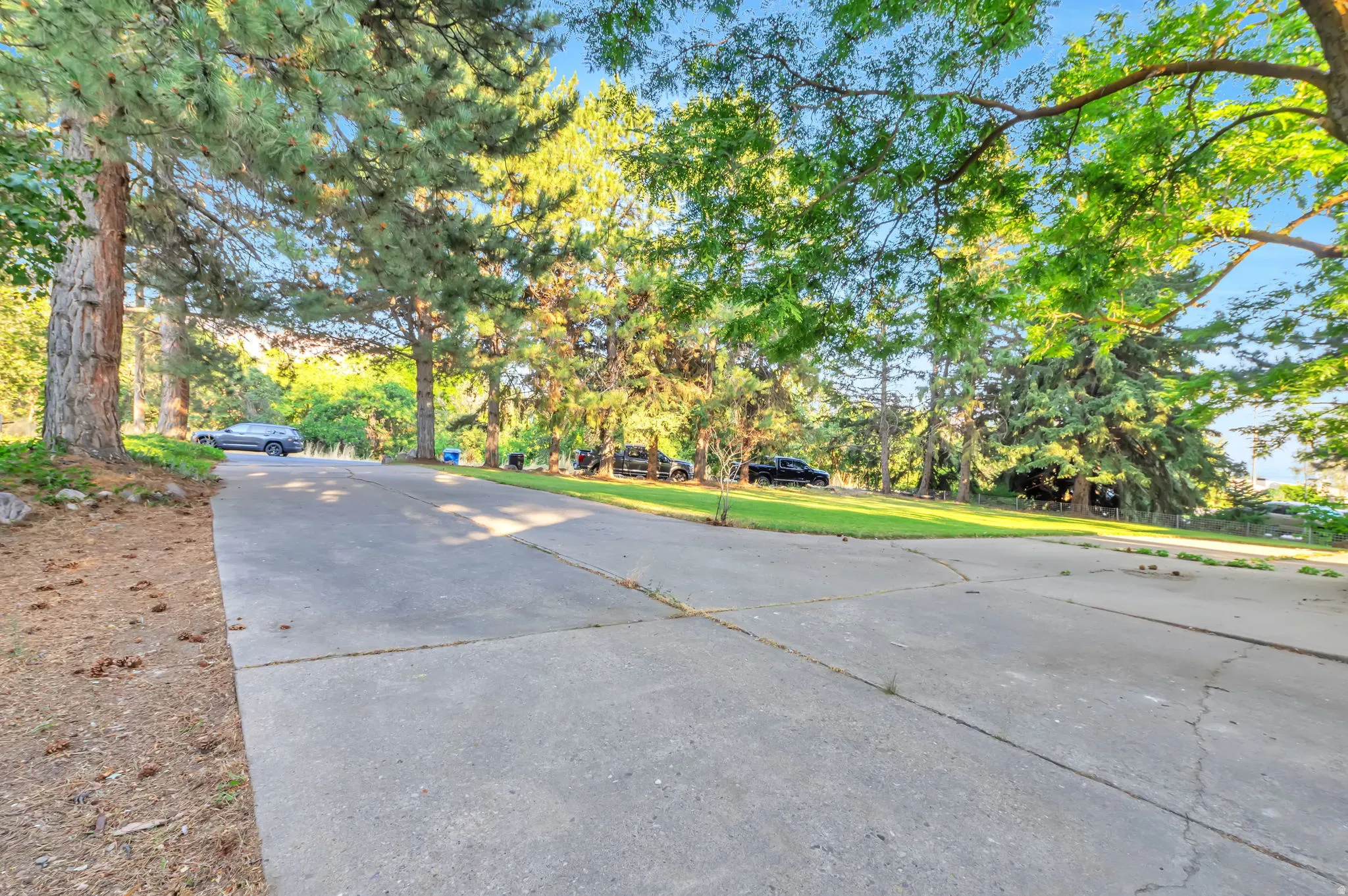 Mature tree-lined driveway with generous width and smooth asphalt surface, offering excellent curb appeal and established landscaping throughout the property grounds