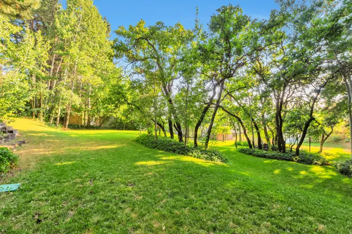 Expansive grounds featuring a manicured lawn with mature tree canopy providing natural shade throughout the property