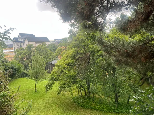 Expansive green lawn surrounded by mature trees and foliage