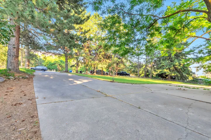 Mature tree-lined driveway with generous width and smooth asphalt surface, offering excellent curb appeal and established landscaping throughout the property grounds