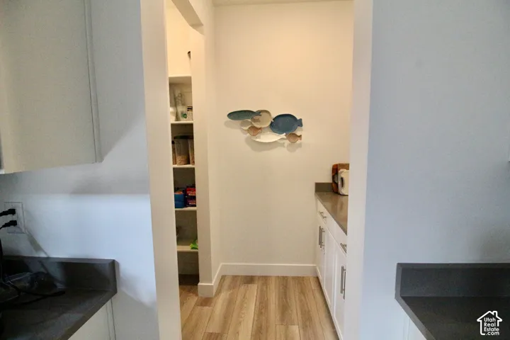 Kitchen pantry and utility area featuring wood-finish flooring, built-in shelving, white cabinetry, and dark countertops