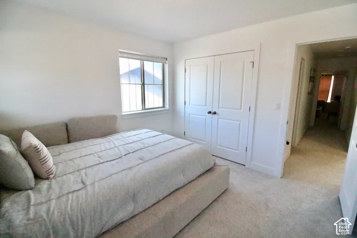 White-painted interior room featuring a window with grid detailing, neutral-toned carpeting, and a double-door closet with dark hardware
