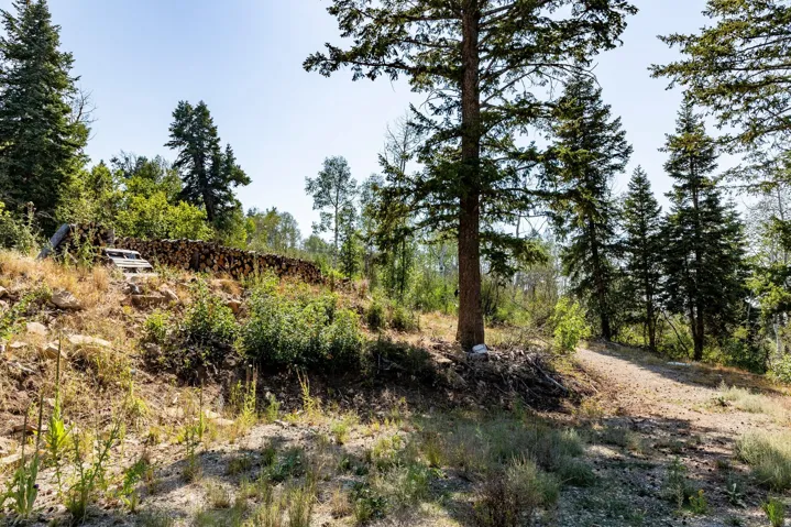 17102 S Alta Dr, Spanish Fork, Utah 84660