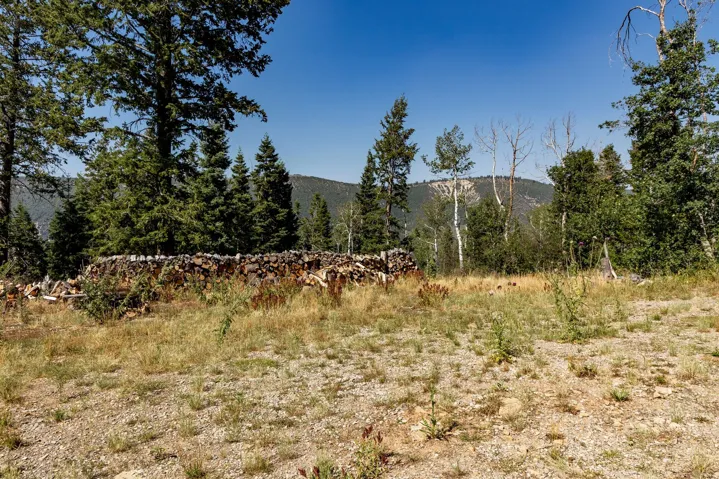 17102 S Alta Dr, Spanish Fork, Utah 84660