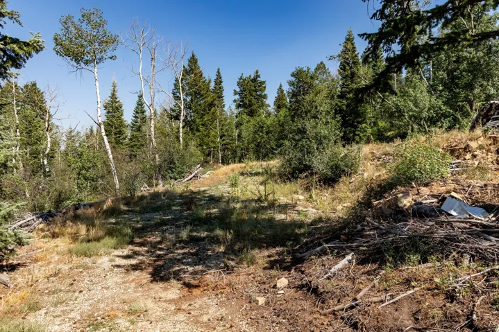 17102 S Alta Dr, Spanish Fork, Utah 84660
